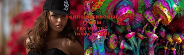 молекула духа Алзамай
