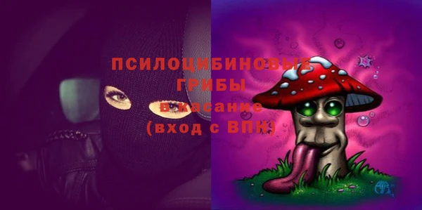 молекула духа Алзамай