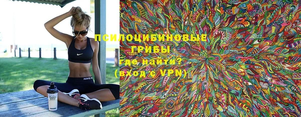 шишки Нефтекумск