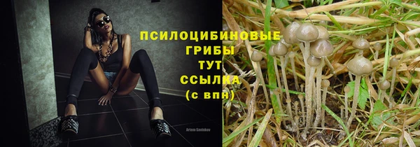 молекула духа Алзамай