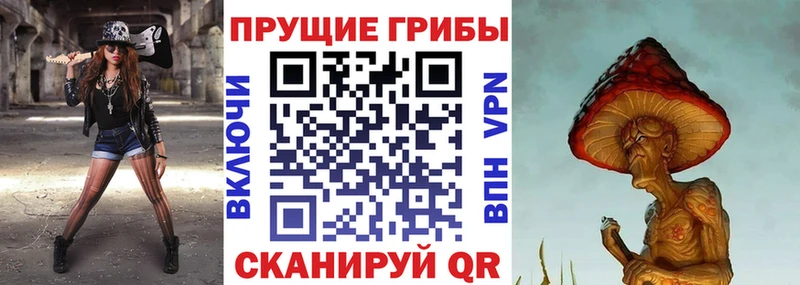 Галлюциногенные грибы мицелий shop наркотические препараты Ставрополь