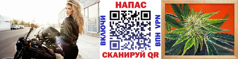 купить наркотик Ставрополь Каннабис гибрид